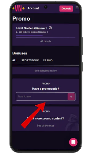 Entering a promo code VegasNow