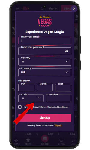 Entering personal data and the code VegasNow
